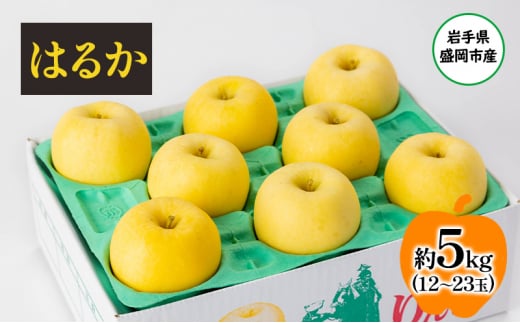 盛岡から「農で人をつなぐ」藤与果樹園：はるか5kg フルーツ 果物 旬のフルーツ 旬の果物 旬 冬 岩手 盛岡 産地直送 玉数指定不可 詰め合わせ 岩手 盛岡