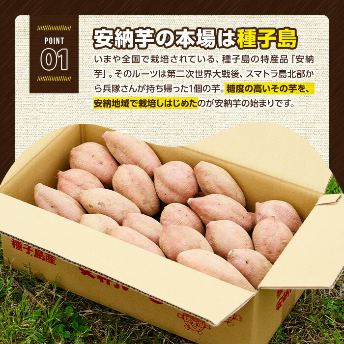 n084 ＜先行予約受付中！2026年10月中旬頃より順次発送予定＞数量限定！種子島産 安納芋(10kg) 国産 安納芋 本場 種子島 芋 イモ いも さつまいも さつま芋 安納いも 野菜 【永濱農園