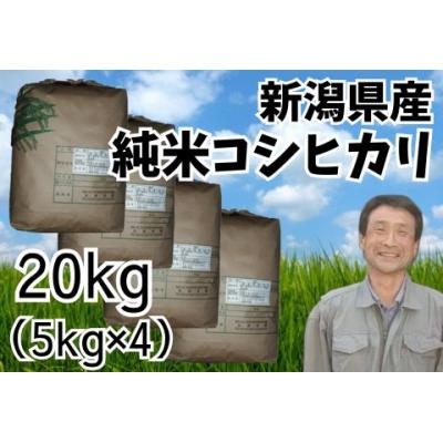ふるさと納税 阿賀野市 【令和7年産】新潟県産 純米コシヒカリ 20kg (5kg×4袋)さいとう農園