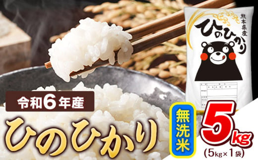 令和6年産  無洗米 ひのひかり 5kg 《7-14日以内に出荷予定(土日祝除く)》熊本県産 ふるさと納税 精米 ひの 米 こめ ふるさとのうぜい ヒノヒカリ コメ お米 おこめ