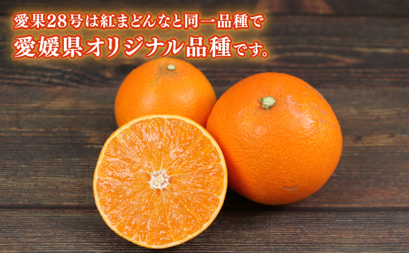 愛果28号 2.5kg 愛媛みかん 兵頭農園 先行予約 みかん mikan 愛媛ミカン あいか 高級柑橘 愛媛蜜柑 果物 フルーツ 柑橘 みかん 高級 ブランド ゼリー プルプル 甘い 美味しい 人気