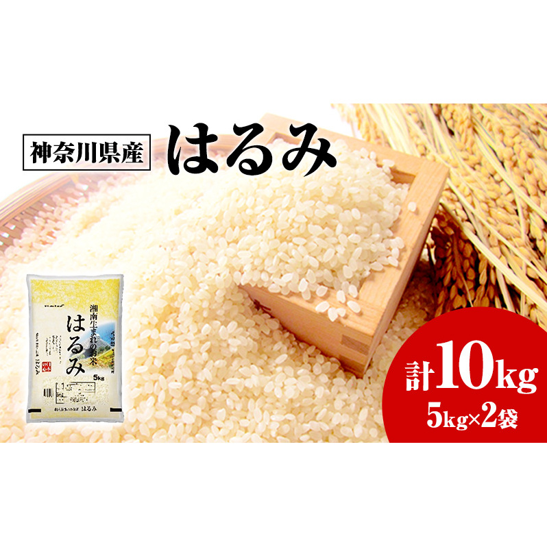 神奈川県産はるみ 5kg×2 白米 精米 米 はるみ 10kg 藤沢市 神奈川