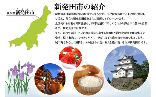 【令和6年産】 新米 コシヒカリ 10kg 5kg 2袋 新潟産 特別栽培米 コシヒカリ 新潟県 コメ お米 米 こめ しんまい 新潟米 新潟 新発田 斗伸 toushin012_01