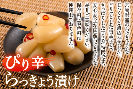 ＜純国産ぴり辛らっきょう1.3kg（130g×10P）＞おつまみやご飯のおともに！【MI013-ko】【株式会社上沖産業】