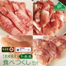 宮崎県産牛・鶏・豚肉食べつくし4種セット