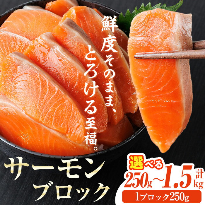 【ふるさと納税】＜内容量が選べる！＞ 生食用 サーモン ブロック (250g～1.5kg) 鮭 小分け 真空 パック 冷凍 刺身 シャケ サケ 魚 魚介【AW-97・AW-98・AW-99・AW-100・AW-101】【丸正水産】