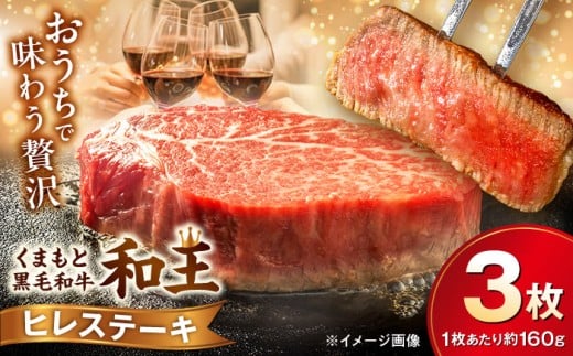 くまもと 黒毛和牛 和王 ヒレ ステーキ 約480g（約160g×3枚）【菊池地域農業協同組合】ステーキ ヒレ 和牛 国産 牛肉 黒毛和牛 熊本県 合志市 [AYBR020]