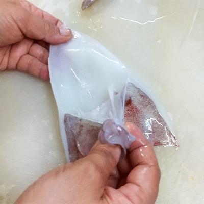 ふるさと納税 宮津市 朝どれ白いか 1kg (中サイズ 3〜6杯) 【京都産　刺身OK】 |  | 02
