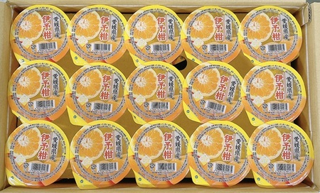 みかん 愛媛 伊予柑ゼリー 30個 人気 数量限定 柑橘 伊予市｜B260