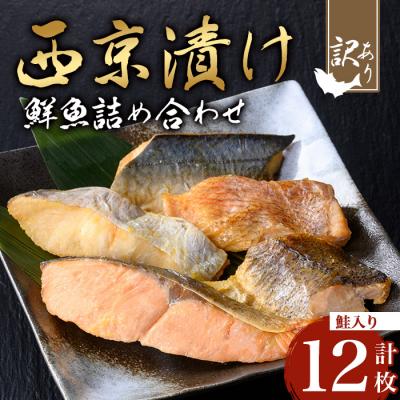 ふるさと納税 曽於市 【訳あり】鮮魚西京漬け<鮭入り>(4種×3枚/約720g)