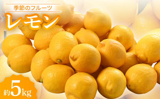 季節のフルーツ「レモン」約5kg＜令和7年11月～令和8年4月発送＞【1609440】