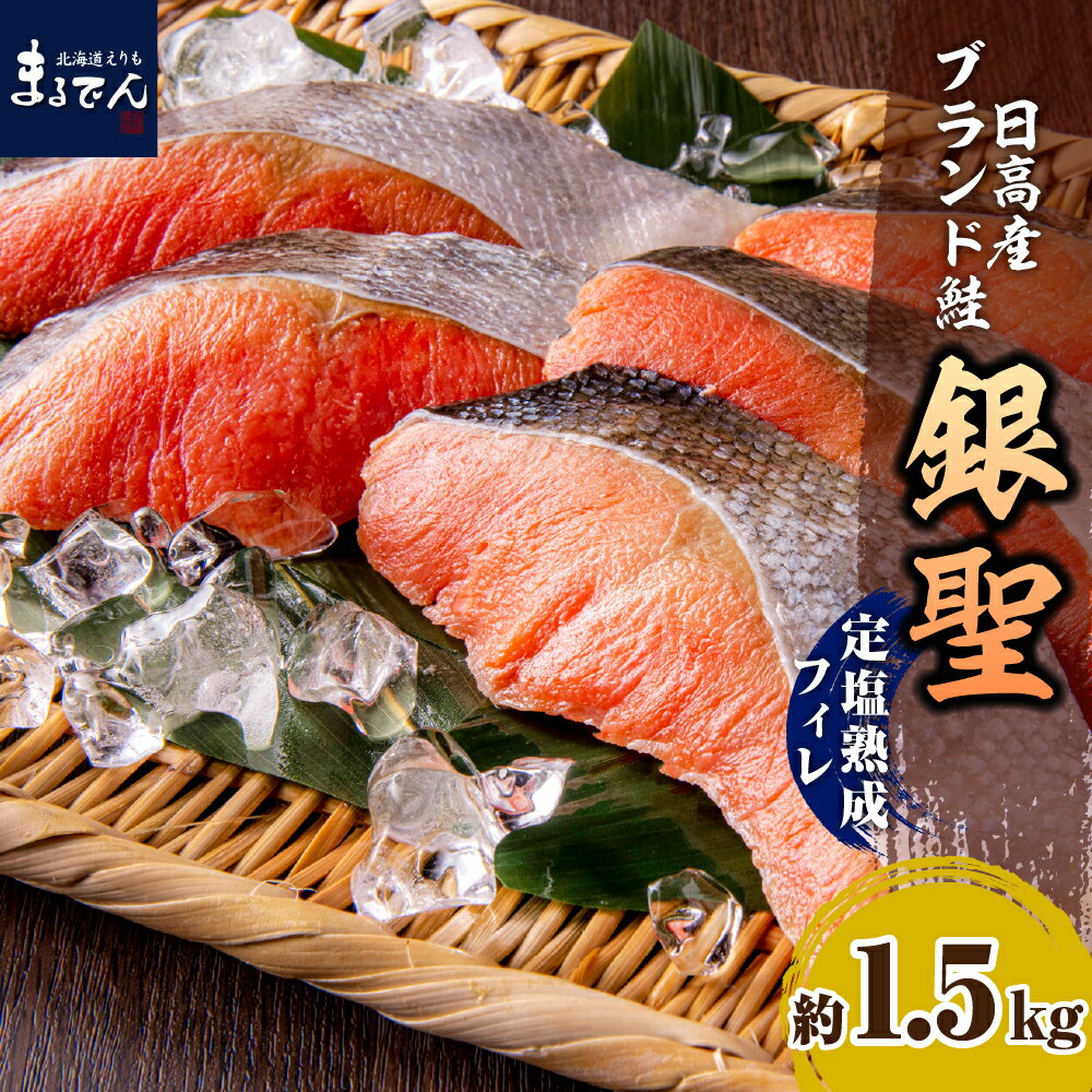 【ふるさと納税】鮭 銀聖鮭 定塩 熟成 フィレ 1.5kg / サケ さけ しゃけ シャケ ブランド鮭 ブランド魚 銀聖 銀毛 銀毛鮭 塩鮭 塩漬 塩漬け 秋鮭 白鮭 シロサケ 魚 魚介類 魚介 焼き魚　焼魚 ムニエル 大容量 真空パック 海鮮 海の幸 海産物 北海道産 国産 北海道 えりも町