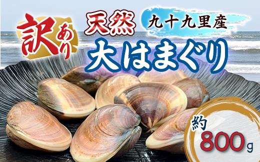 訳あり はまぐり 規格外 大はまぐり 2パック 計 800g 貝 海鮮 魚介 海の幸 ハマグリ 蛤 海産物 国産 天然 産地直送 千葉県 九十九里 九十九里浜