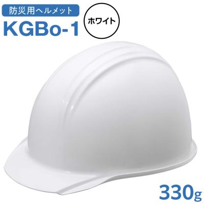 ふるさと納税 名古屋市 【ホワイト】KGBo-1