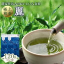 【ふるさと納税】原田茶園　　極上煎茶　麗 120g（60g×2）