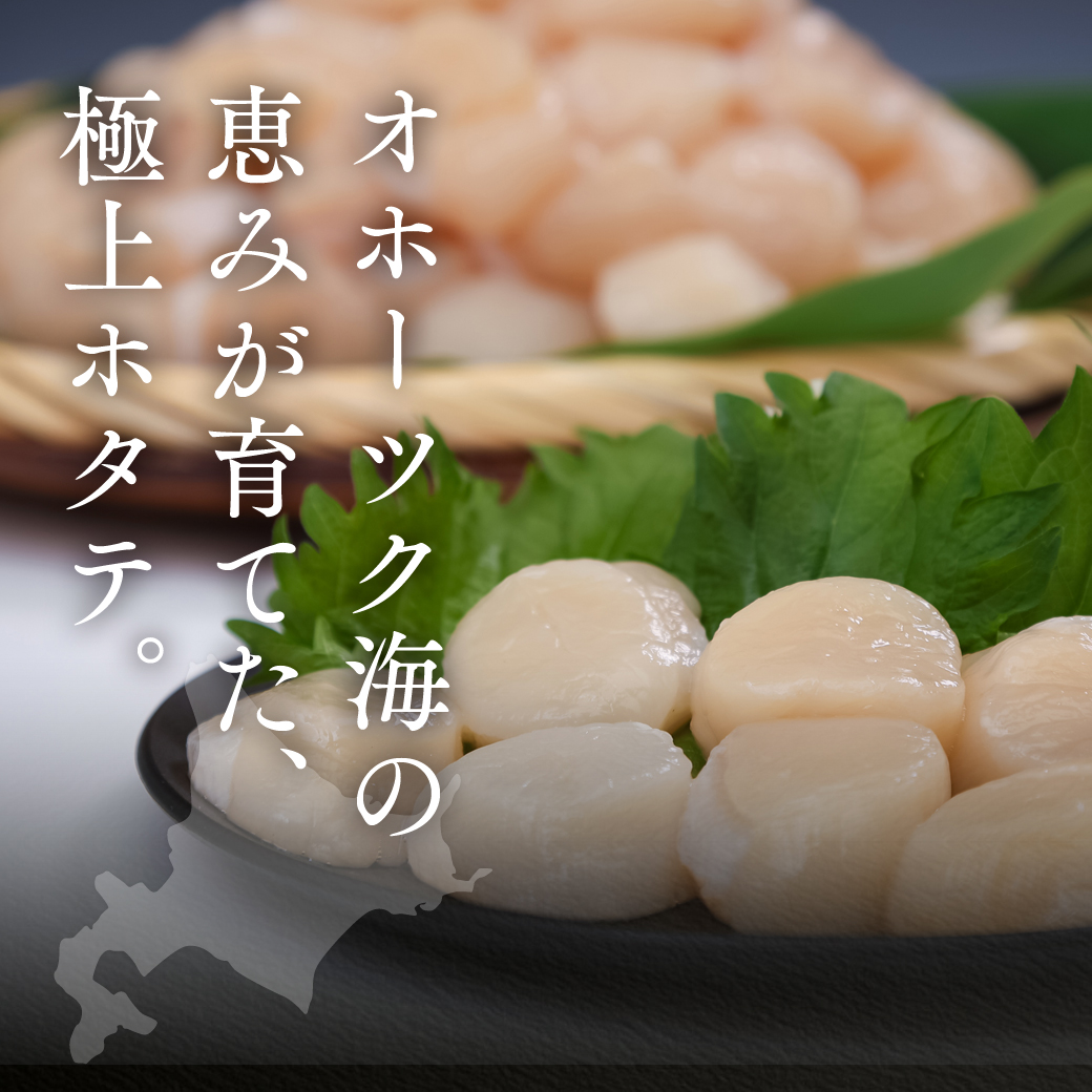 12月発送　オホーツク海産ホタテ貝柱1kg ( ふるさと納税 北海道産 ほたて ホタテ貝柱 刺身 冷凍 貝  北海道 遠軽町 ) en01-00328_イメージ2