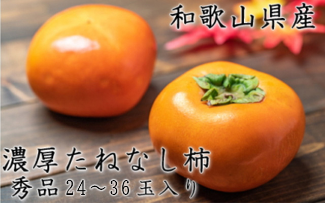 【先行予約】【秋の美味】【和歌山ブランド】濃厚たねなし柿 秀品 L〜４Lサイズ 約7.5kg入り ◇ ※沖縄地域へのお届け不可 ※2025年10月上旬～11月上旬（順次発送）【GO-02】