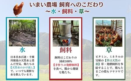 BQ5　いまい農場の 平飼い 有精卵　40個 【 赤玉 たまご タマゴ 玉子 平飼い 国産 こだわり 受賞 兵庫県 宍粟市 しそうし】
