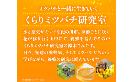 6月のはちみつ540gKURARIくらりミツバチ研究室《90日以内に出荷予定(土日祝除く)》蜂蜜ハチミツ非加熱純正生ヨーグルト---wsk_krrjhoney_90d_22_10000_1d---