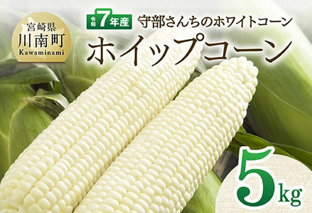 【令和7年度産】守部さんちのホワイトコーン「ホイップコーン」5kg【 とうもろこし ホワイトコーン トウモロコシ ホイップコーン 令和7年発送 先行予約 数量限定 期間限定 】