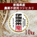 【ふるさと納税】【新米受付】令和6年産　新潟県産　栽培期間中農薬不使用　コシヒカリ　「伊彌彦米　零(ぜろ)」10kg【1517172】