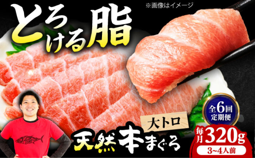 【全6回定期便】極上！たね熟天然本まぐろ大トロ(320g) 天然 マグロ 鮪 大トロ 刺身 魚 魚介 魚介類 海鮮丼 本マグロ 本まぐろ 本鮪 赤身 大トロ 冷凍 お刺身 お寿司 大阪府高槻市/本まぐろ直売所 [AOCE023]