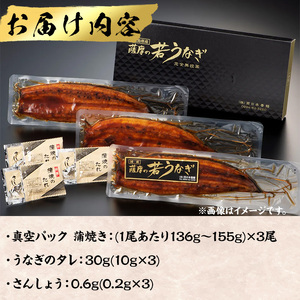 鹿児島県産うなぎ蒲焼 (1尾あたり136g～155g×3尾、タレ・山椒付き) 鰻 ウナギ うな重 ひつまぶし かばやき 九州産 国産 冷凍 【西日本養鰻】A583