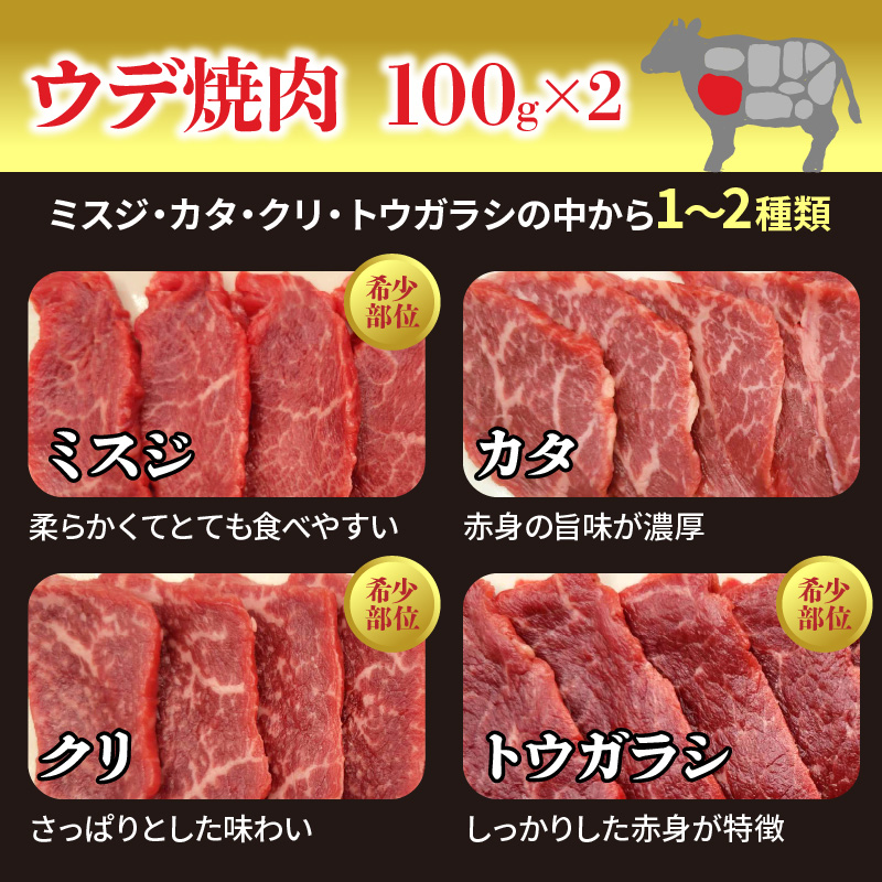 宮崎牛焼肉食べ比べ4種～8種盛り 合計800g　N0140-YC523