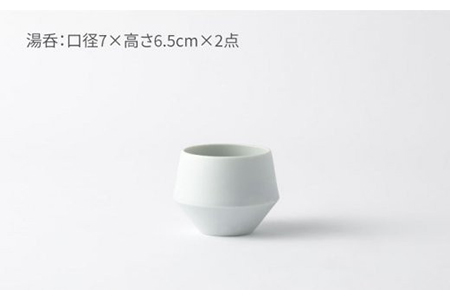 【美濃焼】frustum 土瓶煎茶3点セット（白藍）【晋山窯ヤマツ】【TOKI MINOYAKI返礼品】≪土岐市≫ 茶器 茶器セット 急須 ポット ティーポット 湯吞み 湯吞 ゆのみ ユノミ 煎茶 煎