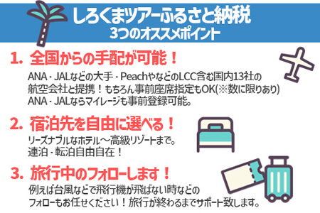 【石垣市】しろくまツアーで利用可能なWEB旅行クーポン(9000円分） WB-3