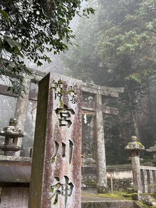 京都・亀岡産きぬひかり「宮川神社米」3kg(1kg×3袋) 令和7年産新米 精米