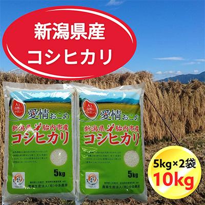 ふるさと納税 胎内市 令和7年産　新潟県胎内市産コシヒカリ10kg(5kg×2袋) | 