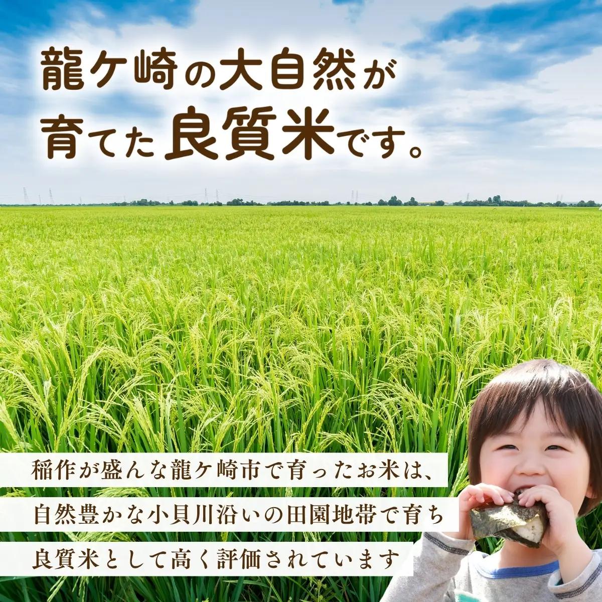 ＜6ヵ月定期便＞【令和8年産】 お米マイスターセレクト茨城産コシヒカリ(玄米30kg) | 玄米  コシヒカリ 米 お米 ごはん  