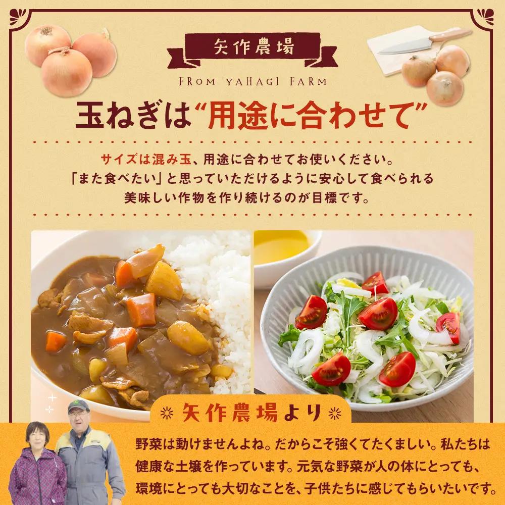 【先行受付】R8年産 有機栽培玉ねぎ 20kg | 玉ねぎ たまねぎ タマネギ 玉葱 大容量 オニオン 甘い 有機栽培 国産 産地直送 カレー ハンバーグ 煮込み 炒め物 北海道 津別町 送料無料