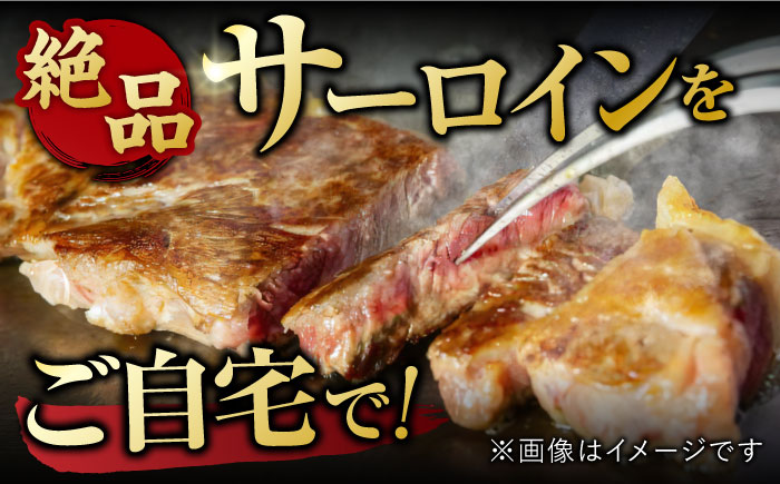 【3回定期便】 艶さし！ 佐賀牛 サーロインステーキセット 計1.5kg （250g×2枚×3回） 吉野ヶ里町 [FDB039]