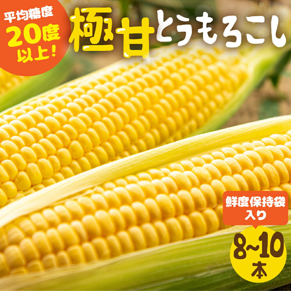 【ふるさと納税】《先行予約》高評価 平均糖度20以上 極甘とうもろこし 8~10本 以上 鮮度保持袋入り 発送時期が選べる 朝採り 人気 甘い 訳あり ワケアリ 本 簡単調理 まるで フルーツ 送料無料 高レビュー 数量限定 2025年 先行予約 楽天限定
