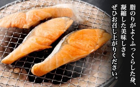 【かば田】【訳アリ】定塩 銀鮭 切身 約1kg 鮭 切り身 塩銀鮭 塩鮭 魚 魚介 海鮮 カマ 切り落とし 冷凍 福岡県 北九州市