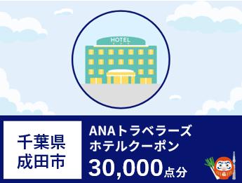 千葉県成田市 ANAトラベラーズホテル割引クーポン 30,000点分