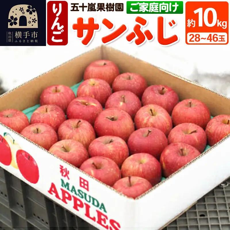 【先行受付】12月中旬より発送 【ご家庭向け】サンふじ 約10kg (28～46玉) りんご 林檎