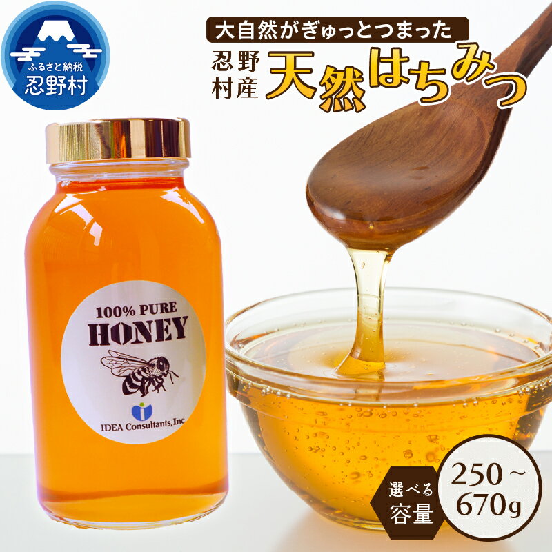 【ふるさと納税】 ＼環境の会社が本気でつくりました／ 天然はちみつ 250g 480g 670g 忍野村産 貼箱入 非加熱 水分調整なし 新鮮 純粋蜂蜜 ハニー パン ヨーグルト 忍野養蜂場 国産 お取り寄せ ギフト 贈り物 贈答 プレゼント 送料無料 山梨県 忍野村
