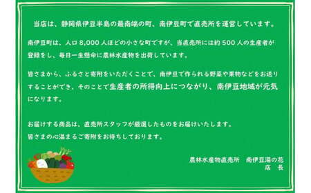 【先行予約】湯の花　伊豆の香りニューサマーオレンジ　３kg　　　柑橘 ニューサマーオレンジ 日向夏 果物 柑橘 ニューサマーオレンジ 日向夏 果物 柑橘 ニューサマーオレンジ 日向夏 果物 柑橘 ニュ