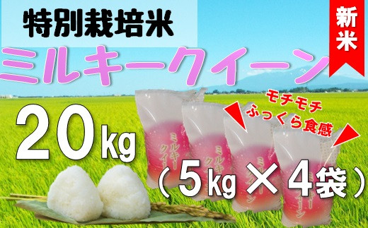 【令和8年産・精米】米蔵いいの特別栽培米ミルキークイーン20kg（5kg×4袋）※10月上旬頃から順次配送