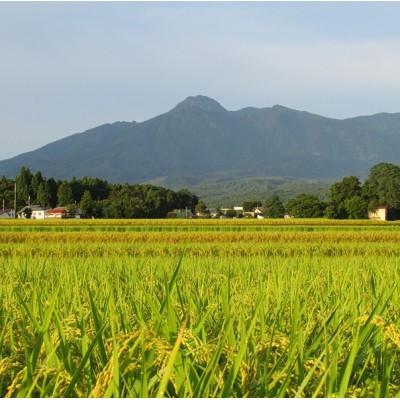 ふるさと納税 上越市 標高200mで育てた棚田米|令和7年・新潟県上越産・にじのきらめき精米10kg |  | 02
