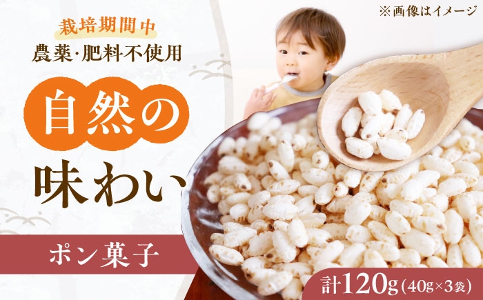 
                  ポン菓子 お米の花びら 3個 大阪府高槻市/高槻ナチュラルファーム [AOEY002]
                