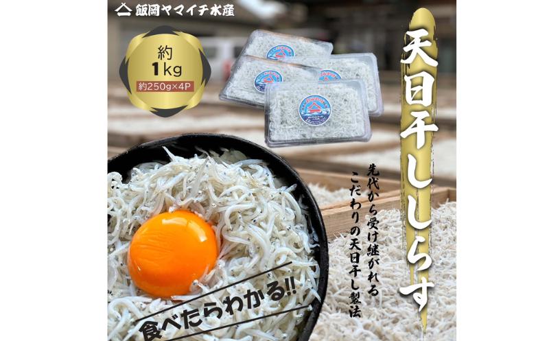 
            天日干ししらす1kg (250gx4P) 国産 九十九里産 自慢の天日干し しらす 天日干し 白子 水産 魚介類 無添加 魚介  海の幸 海 魚  贈答 ギフト プレゼント 贈答 記念日 お祝い 人気 おすすめ 送料無料 ふるさと納税千葉県 旭 飯岡ヤマイチ水産-大納屋- メディア 千葉県 旭市
          