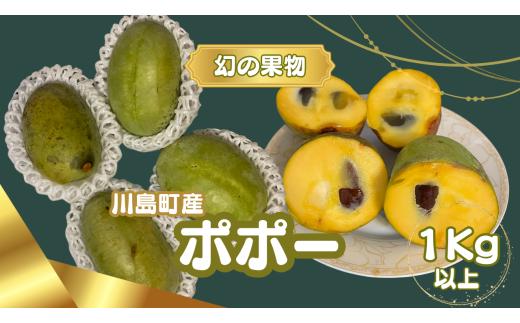※限定10個【幻の果物ポポー〈7月から先行予約受付開始！〉】 希少な幻の果物ポポー1kg以上　無農薬栽培 栄養豊富 希少 国産 埼玉県 川島町産 ポポー 期間限定 (８月初旬頃から発送開始のお品です)