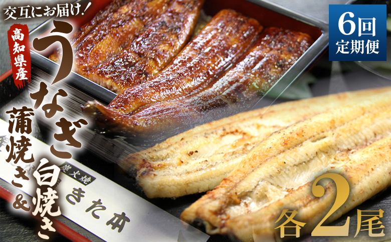 うなぎ 定期便 6回 うなぎ蒲焼き&白焼き120g 2尾(無頭)　交互にお届け 魚介 国産 海鮮 魚 かばやき 鰻 ウナギ 惣菜 おかず お手軽 加工品 加工食品 冷凍 しらやき セット 食べ比べ W