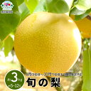 【ふるさと納税】旬の梨 約3kg (約5～12玉) 《黒岩果樹園》■2025年発送■※8月中旬頃～10月下旬頃まで順次発送予定 先行予約 果物 フルーツ なし ナシ