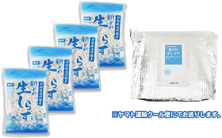 しらす 100g 4パック 魚貝類 海の幸 海鮮 しらす
