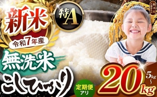 
            特A 新米 栃木県産 コシヒカリ 無洗米 【栃木県共通返礼品】| 選べる容量 5kg 10kg 20kg 発送回数 定期便3回 | お米 米 こめ 洗米 新米 無洗米 コシヒカリ こしひかり 美味しい お弁当 選べる 定期便 ふるさと 納税 栃木県 矢板市【 栃木県共通返礼品 】【 令和7年度 新米 先行予約 】 オススメ 人気 ブランド米 単一米 銘柄米
          